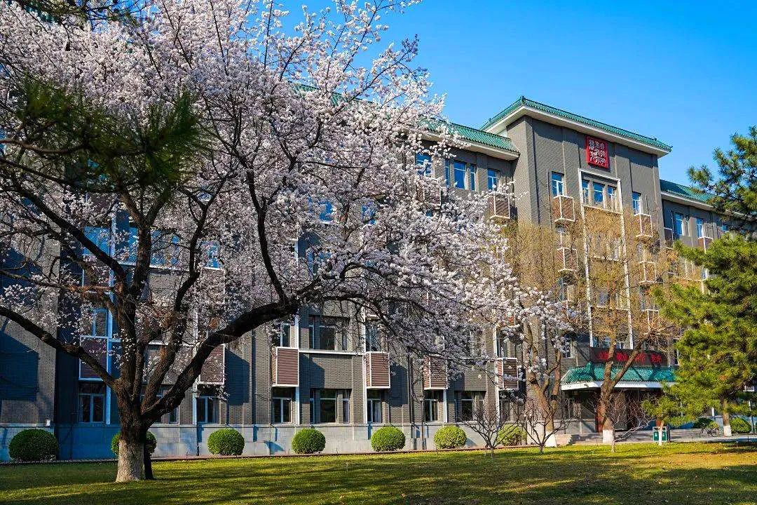 传媒大学学历提升