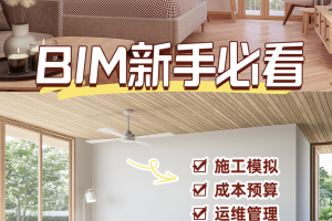 BIM